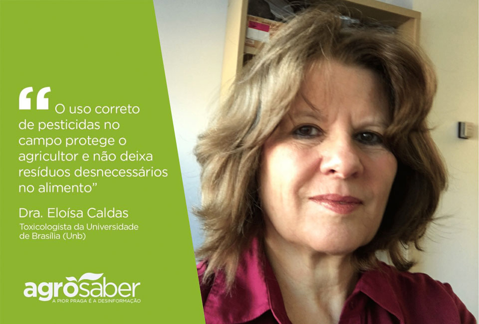 “O uso correto de pesticidas não deixa resíduos”, diz especialista