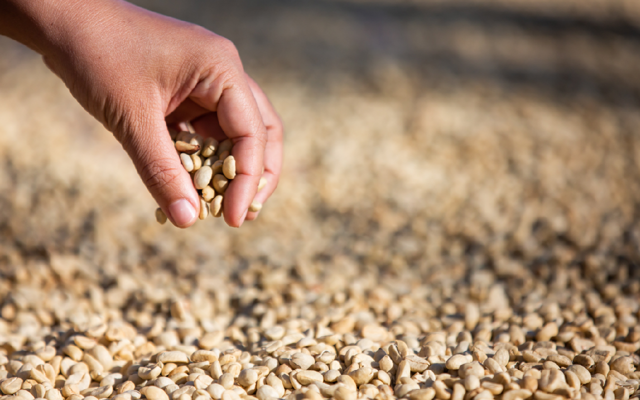 Produtividade no Agro é produtividade no Brasil