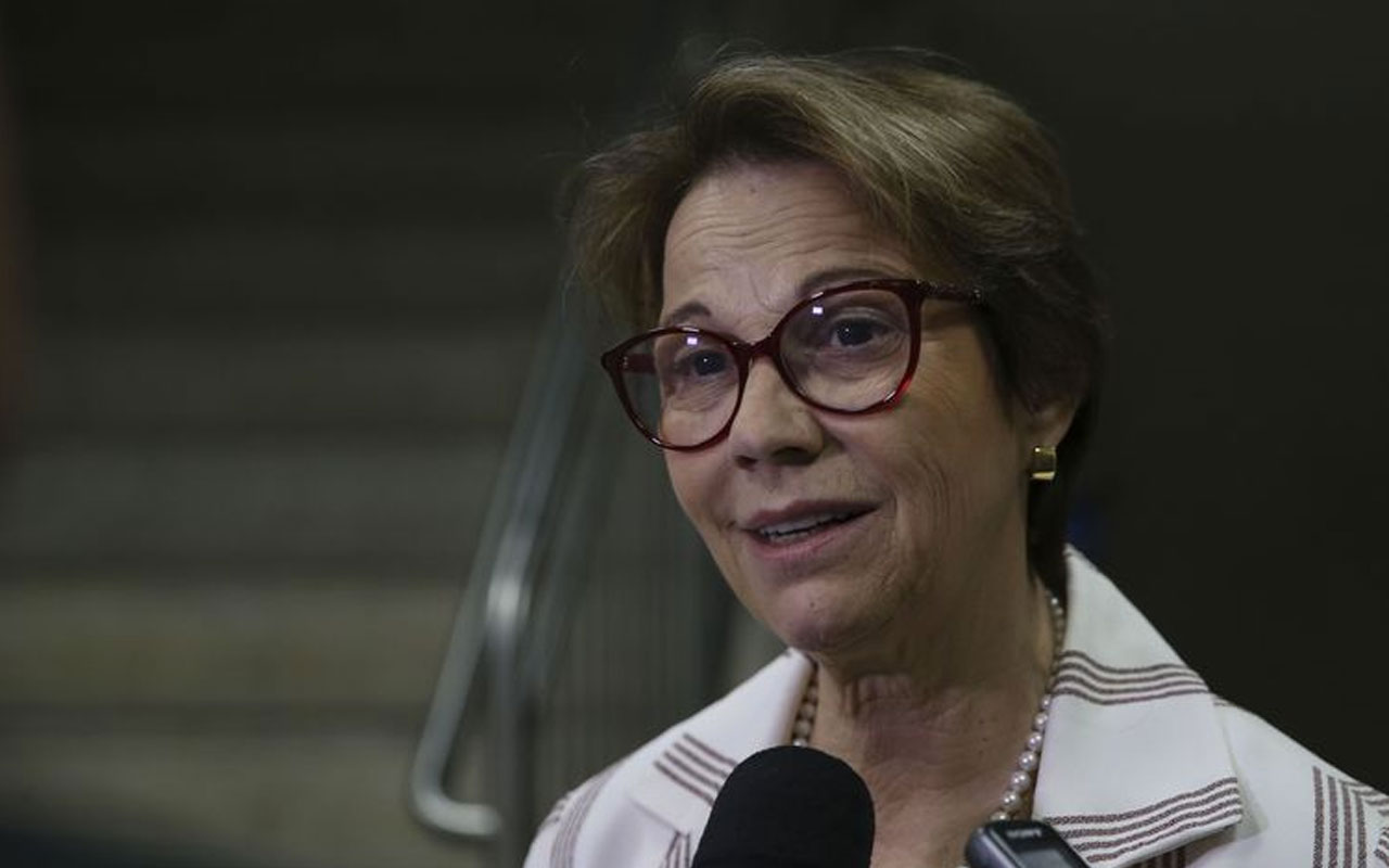 Ministra diz que liberação de agrotóxicos não traz riscos