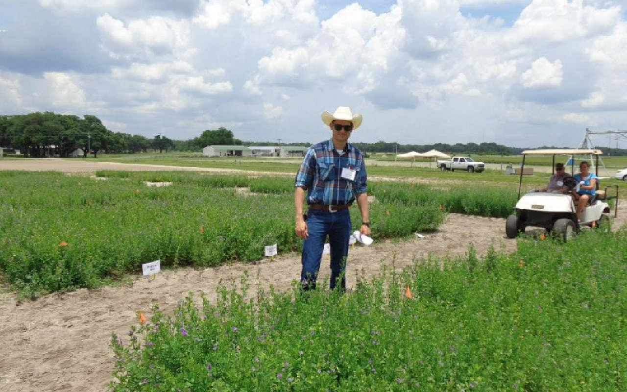 Os mitos que rondam a agropecuária brasileira