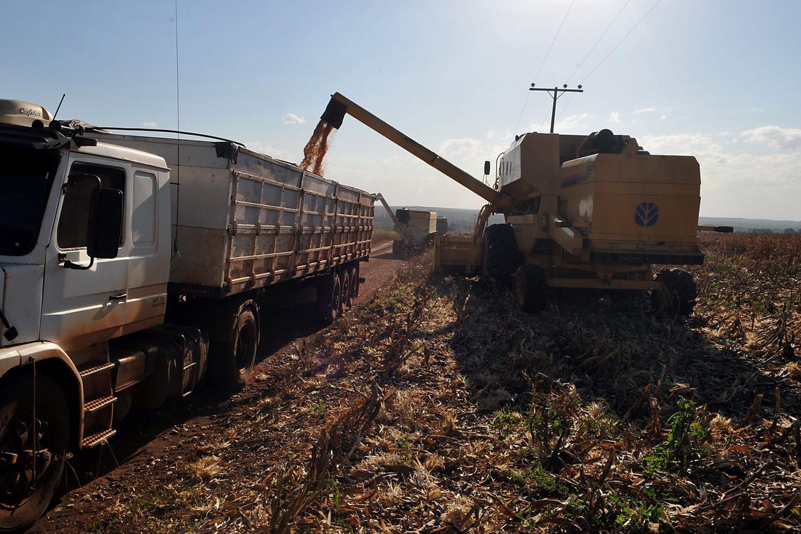 Mudança climática ameaça produção de alimentos, alerta ONU