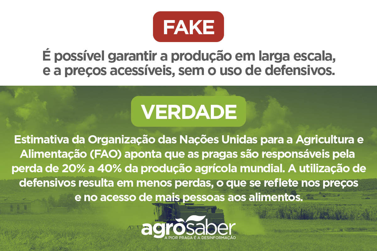 Especial Fake News: É possível produzir sem agrotóxicos