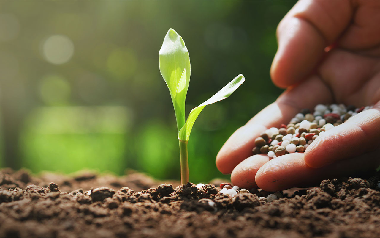 Fertilizantes: código de uso sustentável recomenda boas práticas