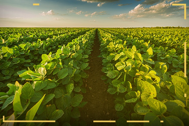 Agricultura Tropical é invenção nossa!