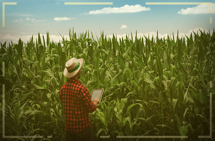 Perfil digital: 86% dos agricultores de Mato Grosso possuem Internet