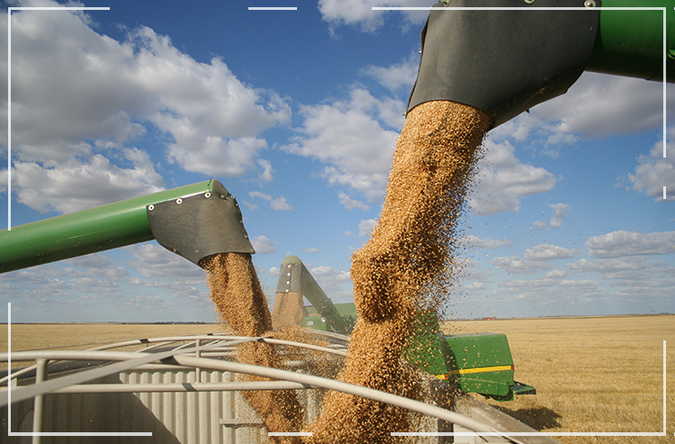 Agro brasileiro confirma maior colheita da história com 257,8 milhões de toneladas