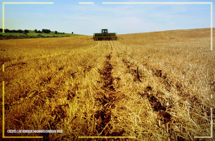 Produtores atingidos pela seca podem renegociar financiamento rural