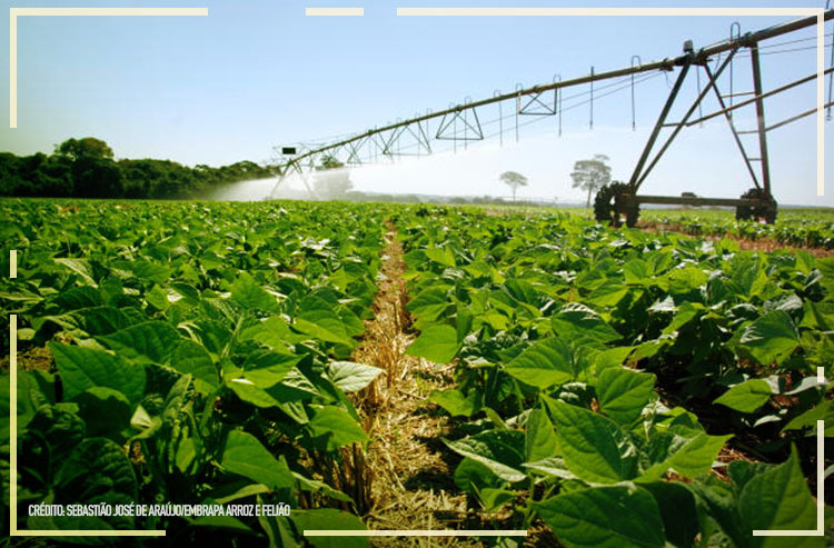 Ministério da Agricultura lidera programa para ampliar conhecimento do solo brasileiro
