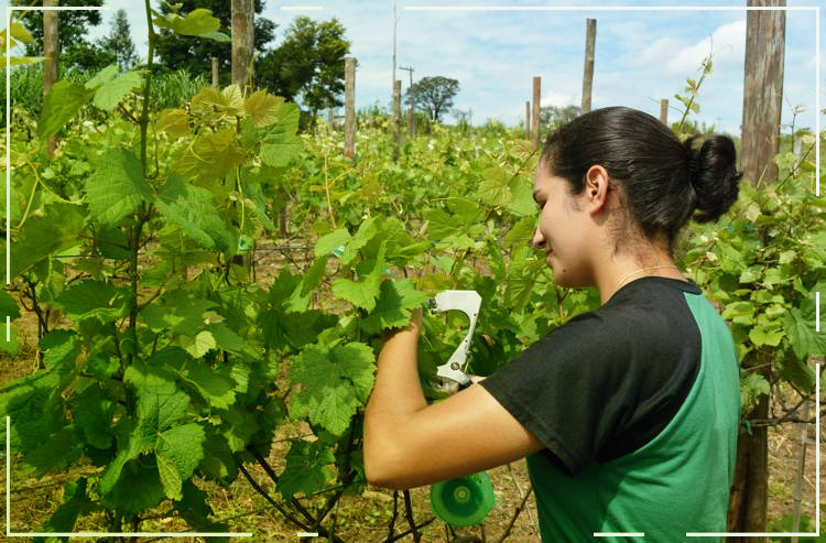 Presença feminina cresce em cursos profissionalizantes do agro brasileiro