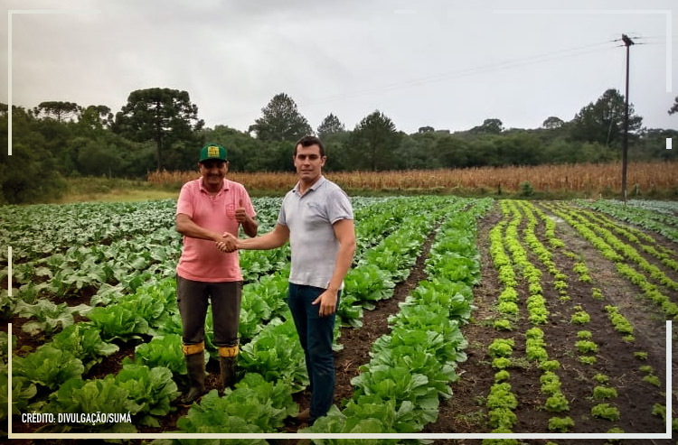 Startups ajudam a destravar o comércio do agro brasileiro