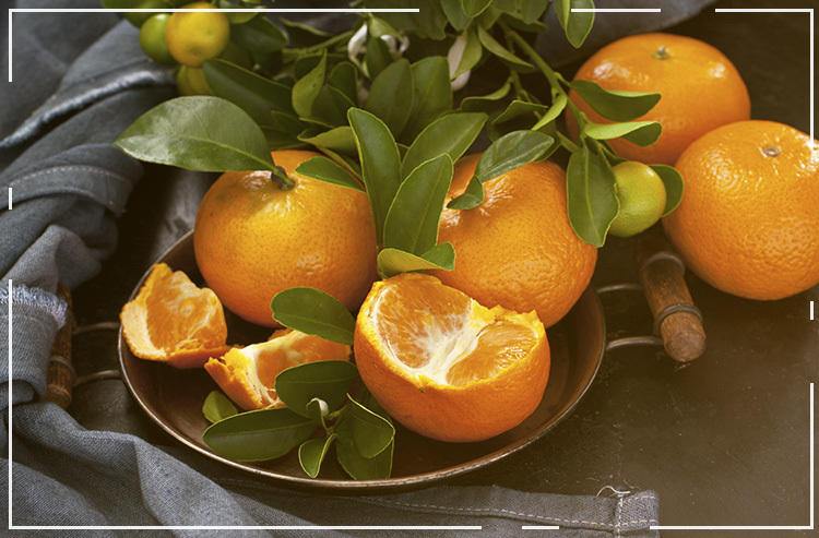 É tangerina, mexerica, bergamota ou ponkan? Sabe a diferença?