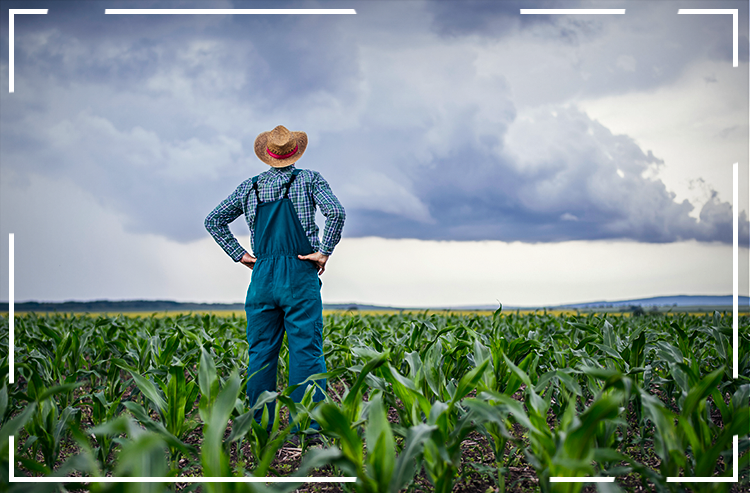 Conheça os 10 municípios mais afetados com perdas de terras em Mato Grosso