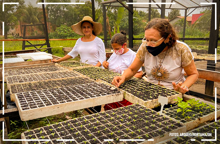 Mulheres semeiam sonhos e hortas no sudeste do Pará