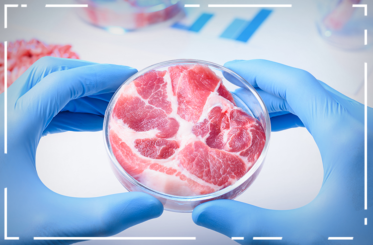 Companhia brasileira investirá R$ 100 milhões em carne de laboratório
